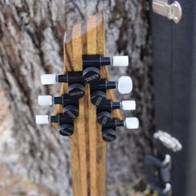 Kiesel DC700 7 string , Exotic woods and very high specs