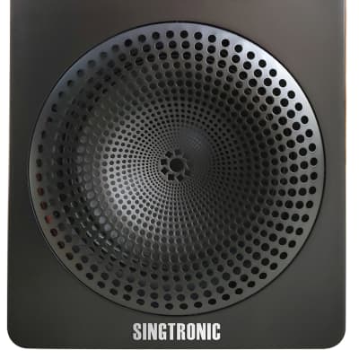 Singtronic 2500W Home Karaoke Vocal Speakers (Pair) image 4