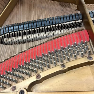 C. Bechstein 7' Grand Piano Classic Ebony Elegance image 6