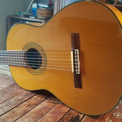 Takamine Flamenco 1999 | Reverb