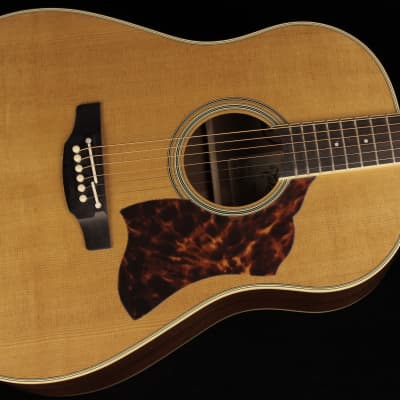 Takamine CRN-TS1 Thermal Top (#888) for sale