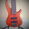 Ibanez SR506 Six-String Electric Bass with Nordstrand Big Singles Pickups, Noll TCM-3 Preamp & OHSC