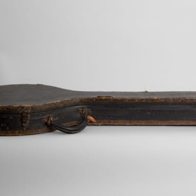 Vega  Imperial Electric Guitar Banjo (1923), ser. #65018, black hard shell case. image 11
