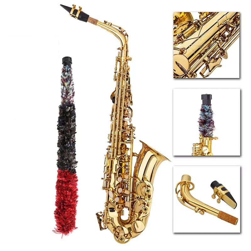 Practice Beginner Eb Alto Sax Saxophone School Paint With Case & Accessories image 1