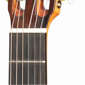 Jose RAMIREZ  R1CWE  2014 Concert Classical Guitar Fishman Problend with Case image 6