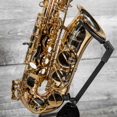 Soloist Student Alto Sax Outfit Used image 3