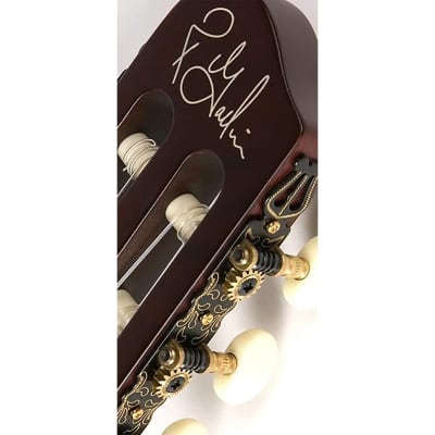 Godin Multiac Encore Nylon-String Classical Acoustic-Electric Guitar image 3