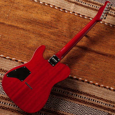 K.Nyui Custom Guitars KN-TE Thinline w/Lollar P.U Inperial HB  #1744 - Trans Cherry image 10
