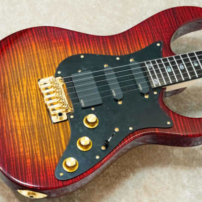FREEDOM CUSTOM GUITAR RESEARCH HYDRA 24F 2Point 1P Flame Maple Body -Kabukimono- 2023 [Made in Japan] image 3