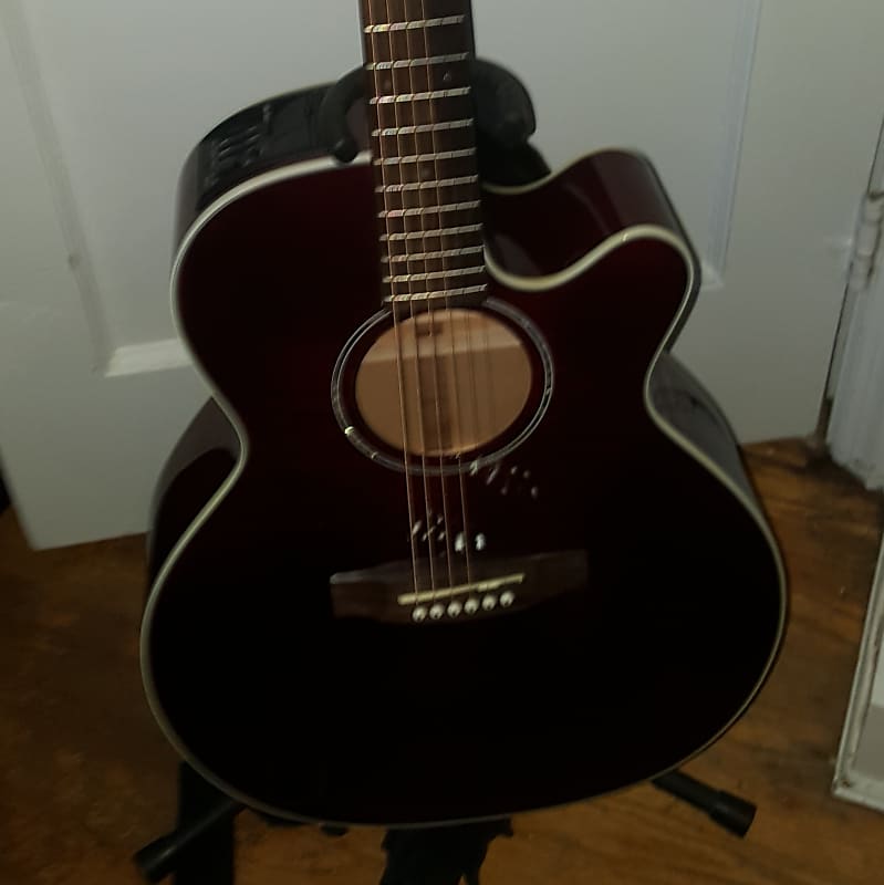 Takamine G Series EG440C STRQ Guitar w Case 2010 Wine Red