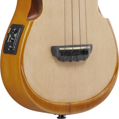 Ibanez AUC10E-OPN Concert Ukulele Open Pore Natural incl. Gigbag - NEW image 5