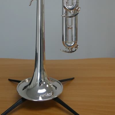 ACB Piccolo Bundle! Doubler's Piccolo, ACB Mouthpiece, Bremner Practice Mute, and Blowdry Brass! image 9