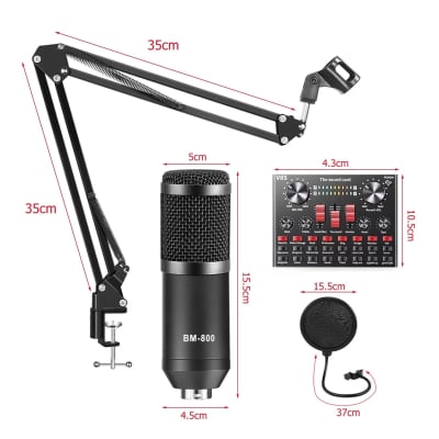ZINGYOU BM-800 Condenser Microphone Bundle for Studio Recording &  Brocasting (Black)