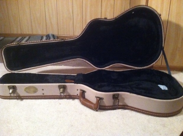 Alvarez fc1 guitar clearance case