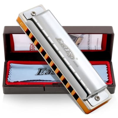 EastRock Blues Harmonica Mouth Organ 10 Hole C Key with Case, Diatonic  Harmonica for Professional Player, Beginner, Students Gifts, Adult,  Friends, Gift （Black） 