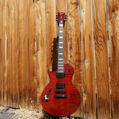 ESP LTD EC-1000 Tiger Eye Left Handed 6-String Electric Guitar image 3