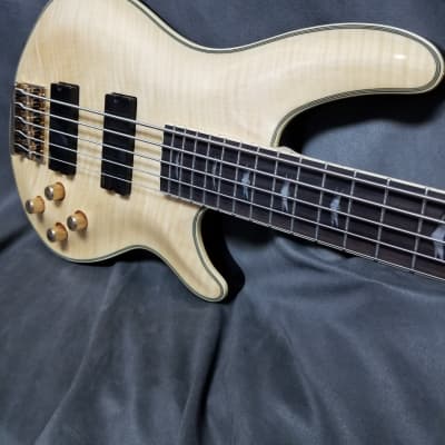 Schecte OMEN extreme-5 ボディ＆ネック ジャンク Schecte OMEN