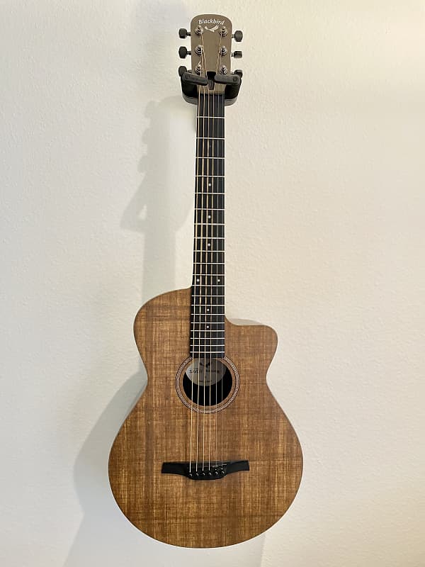 Blackbird Savoy 2020's Reverb