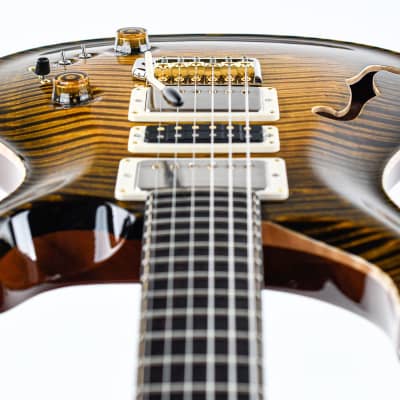 PRS Private Stock Special 22 Semi Hollow Tiger Eye Glow image 12