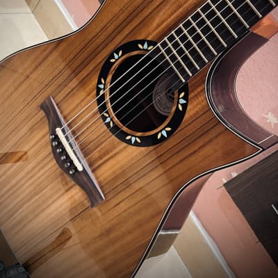 Bigfoot India Mod D Guitar w/ Sinker Cedar & OHSC (Ex Jason Kostal) image 5