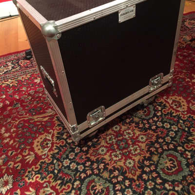 Hamstead Artist 20RT with Flightcase and Soft case image 12