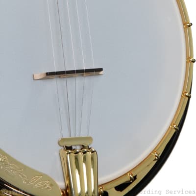 Washburn B17K Americana Series Flame Maple 5-String Banjo w/Hardshell Case image 7