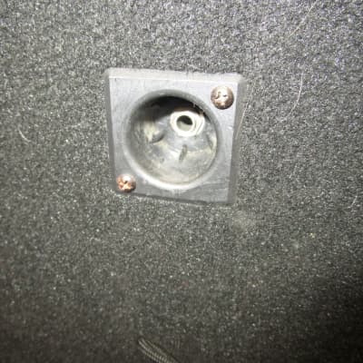 CSS 12" passive speaker cabinet with horn image 5