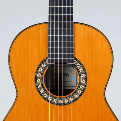 Pavan Flamenca Negra Classical Guitar Cedar *Kaces Deluxe guitar case Included* image 4