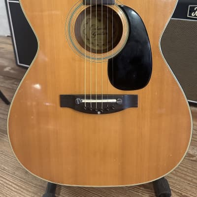 Vintage 1970s Orlando Model 301 (Plays and Sounds Great!) for sale