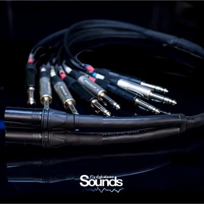 Waves Sounds TRS In 8 CH - XLR Out Summing Cable 2019 Black & Silver image 6