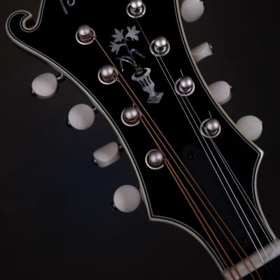 Bourgeois M5-F Aged Tone F-style mandolin Brand New image 12