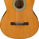 Ibanez Model GA3 Full Size Nylon String Classical Acoustic Guitar