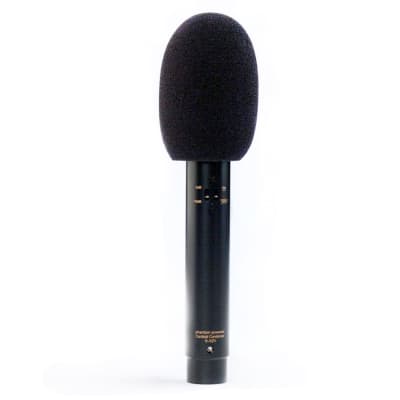 Audix ADX51 Cardioid Pre-Polarized Condenser Microphone - Open Box image 4