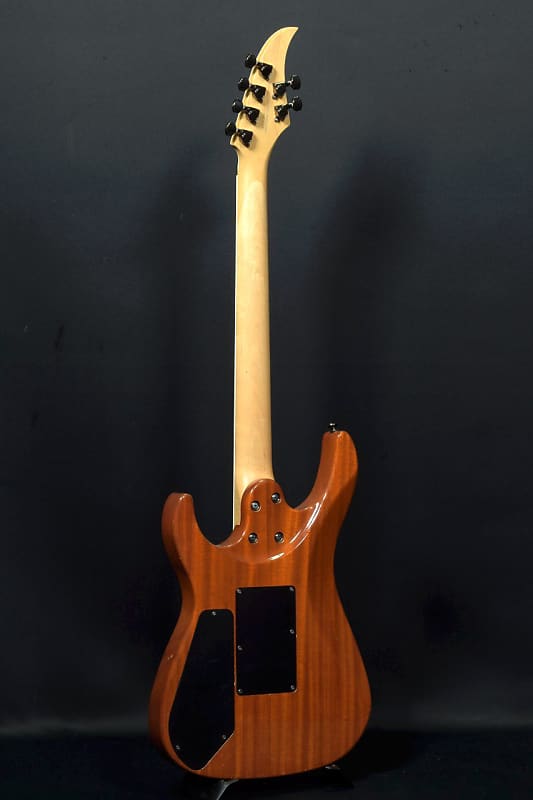 ギター Caparison C2 Series DEG-E-HH Caparison C2 Series DEG-E-SSH Natural Mahogany | Reverb