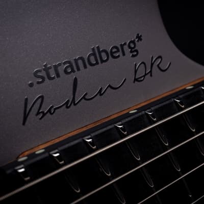 Strandberg Boden DR Titanium w/bag image 8