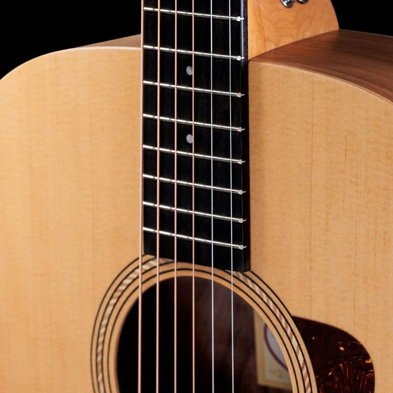 Taylor Academy 10e 2019 - 2022 | Reverb