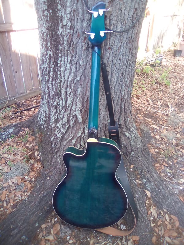 Ebigonline sky deals guitar