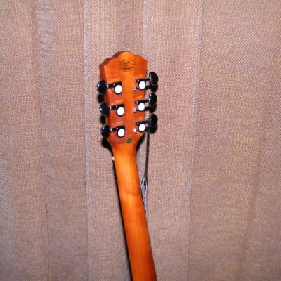 Washburn F5 Apprentice Series Folk Acoustic Guitar - Cracked Neck image 7