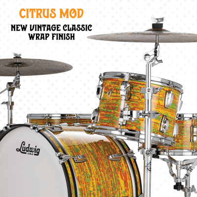 Ludwig Pre-Order Maple Citrus Mod Jazz Bop Kit 14x18_8x12_14x14 Drums Shells Made in the USA Authorized Dealer image 4