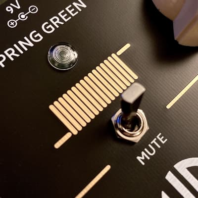 Homegrown Devices Spring Green Spring Reverb Unit image 3