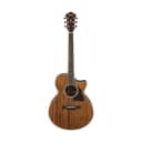 Ibanez AE Series AE245NT Semi-Acoustic Guitar, Natural