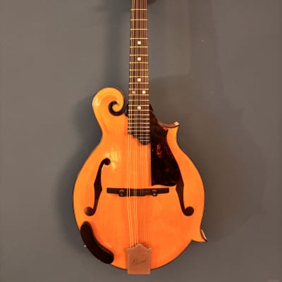 Quint QT-F5 YN image 3