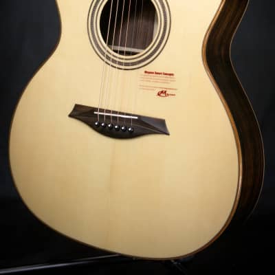 Mayson Luthier Series M5 S Acoustic Guitar image 3
