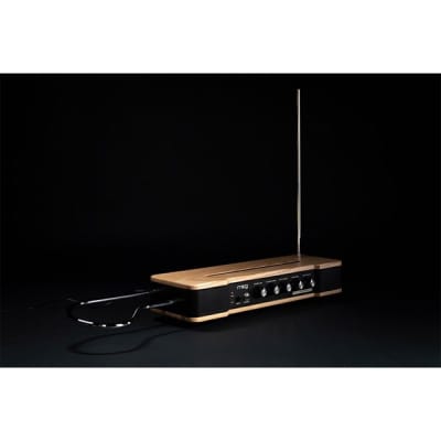moog [GW Gold Rush Sale] Etherwave Theremin (MG EW THEREMIN) + Stand Set image 3