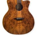 Luna Grand Auditorium Gypsy Exotic Spalted Top Gloss Acoustic Guitar GYP SPALT