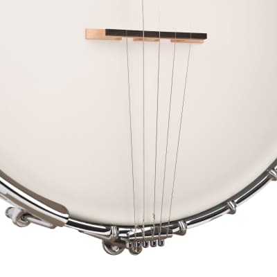 Gold Tone Mastertone™ WL-250: White Ladye Banjo with Case image 14
