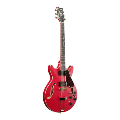Ibanez AM Artcore Expressionist Hollow Body 6-String Electric Guitar (Cherry Red Flat, Right-Handed) image 6