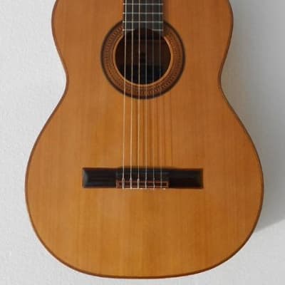 Merida Trajan T25 Classical Acoustic Guitar image 2