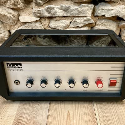 fully serviced Echolette SE-251 analog tape delay / NO Dynacord Echocord super 76 Roland Space Echo RE-201 for sale