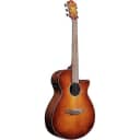 Ibanez AEG70VVH Acoustic/Electric Guitar Vintage Violin High Gloss